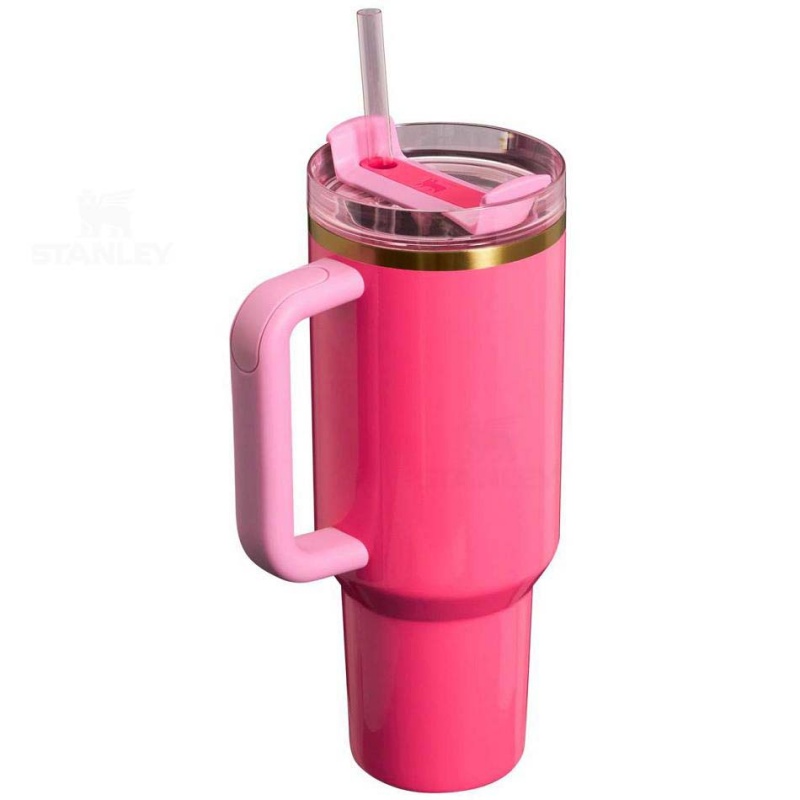 Dark Pink Stanley Bottle